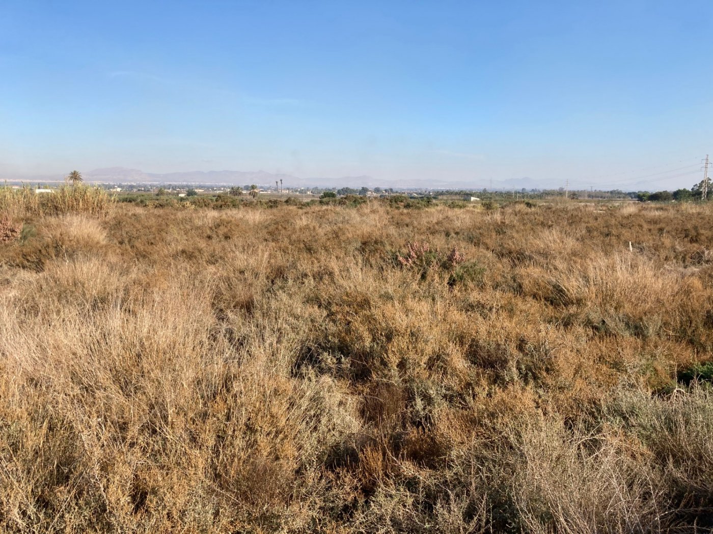 property image #3
