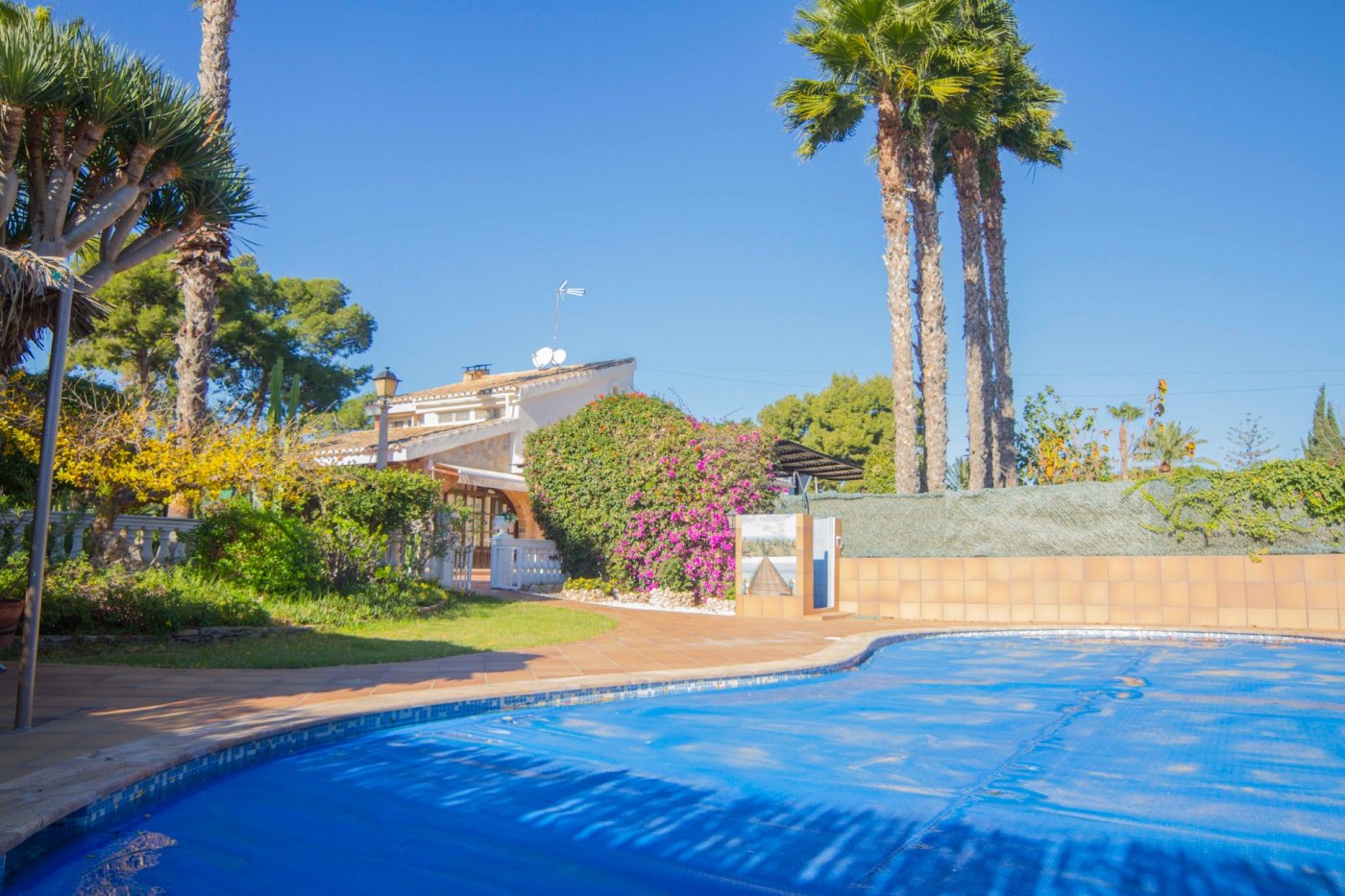 property image #3