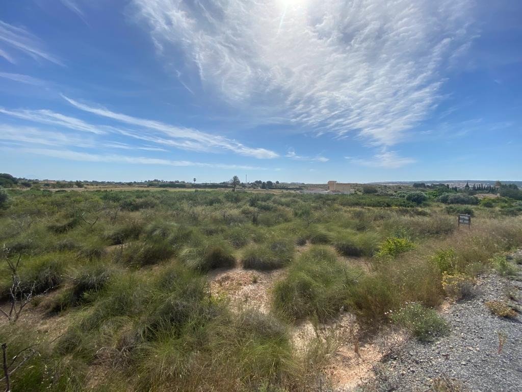 property image #3