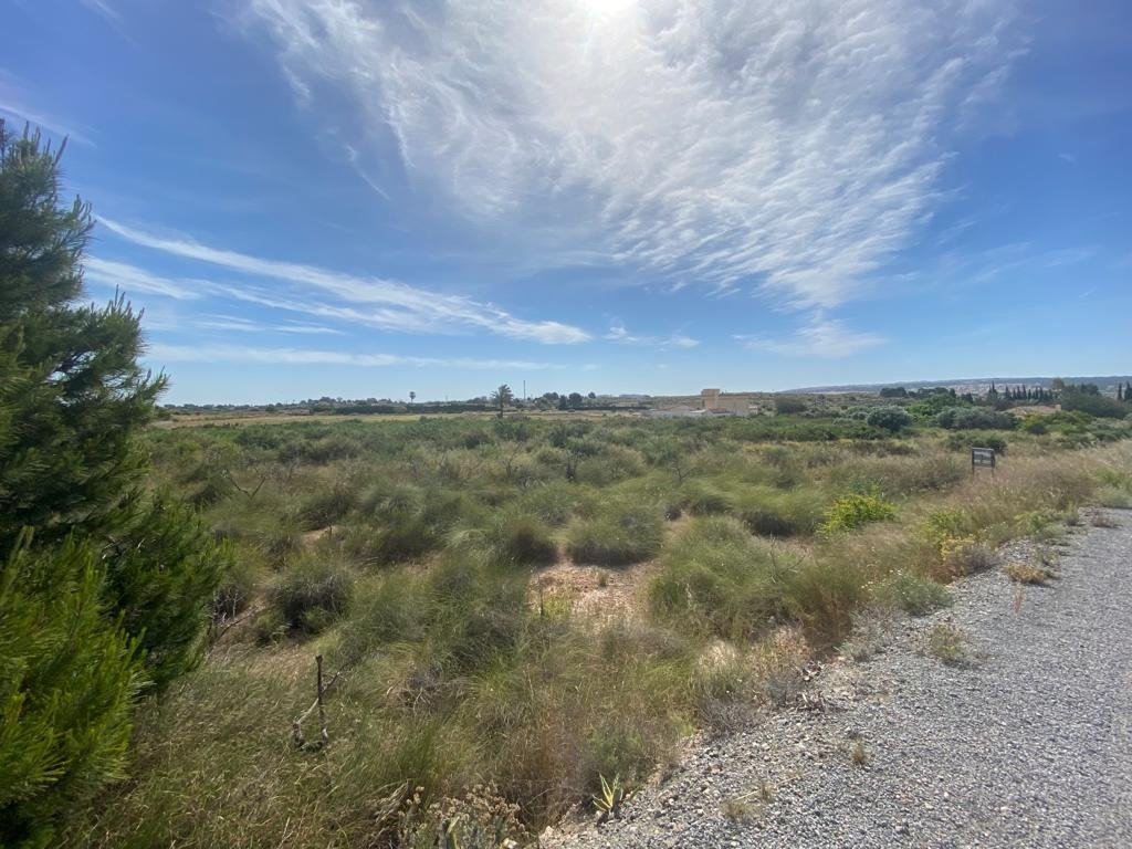 property image #4