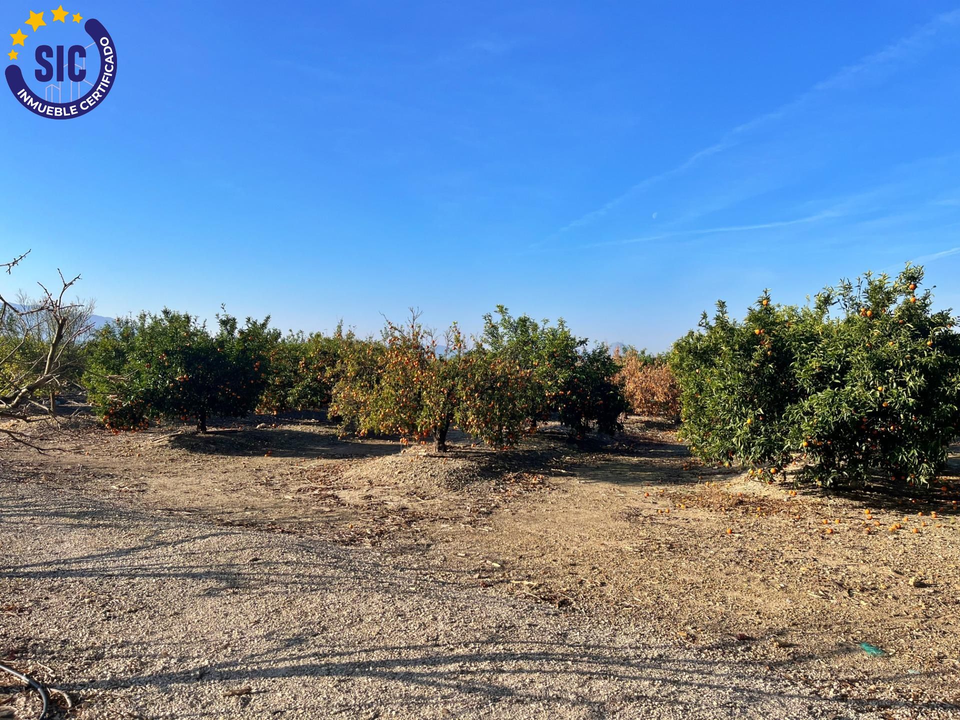 property image #4