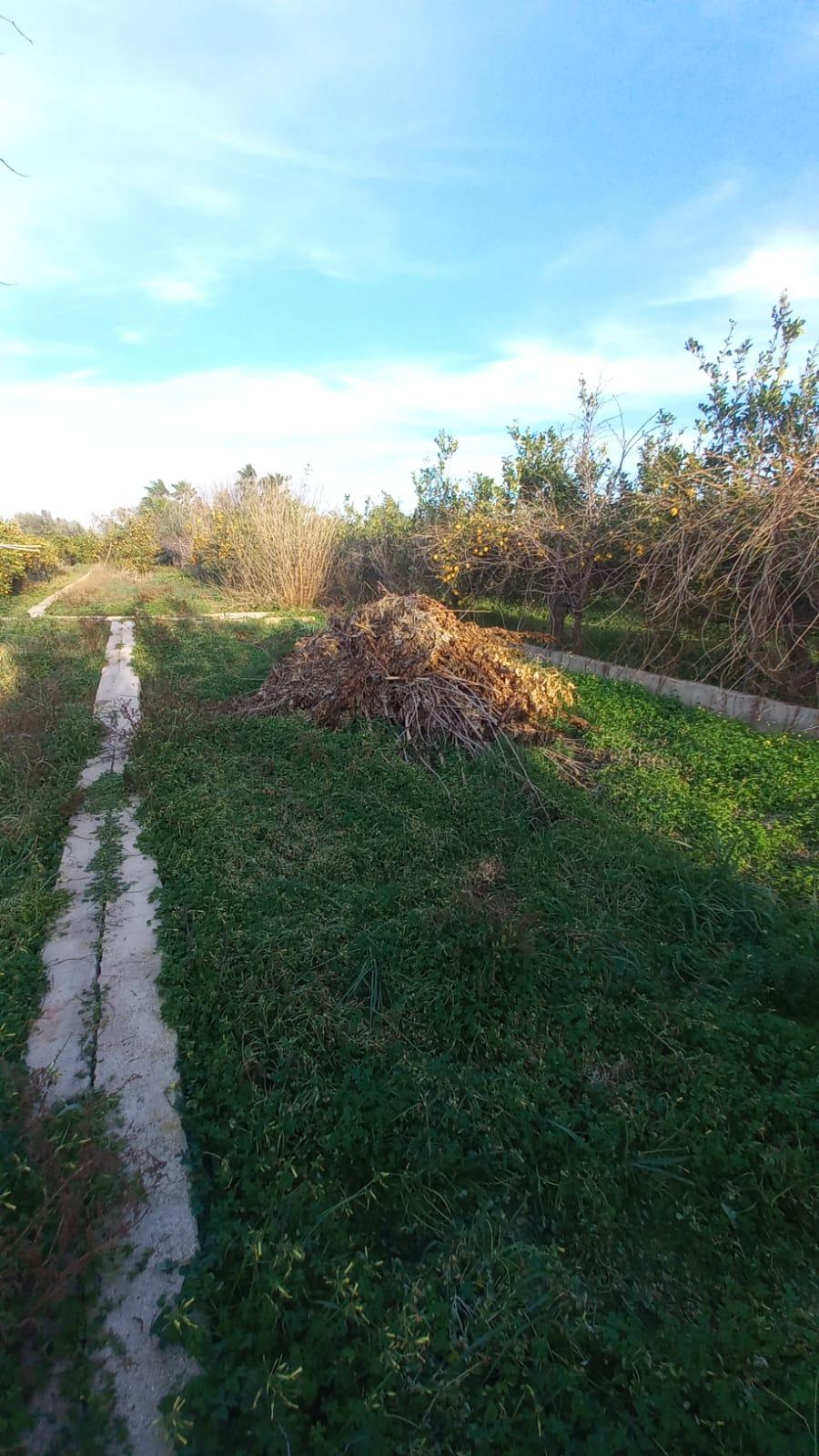 property image #1