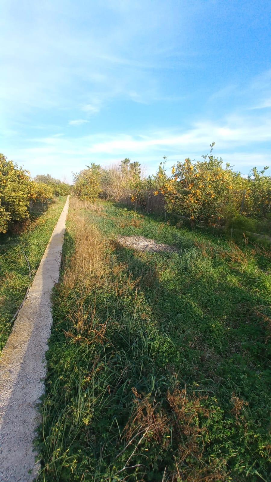 property image #2