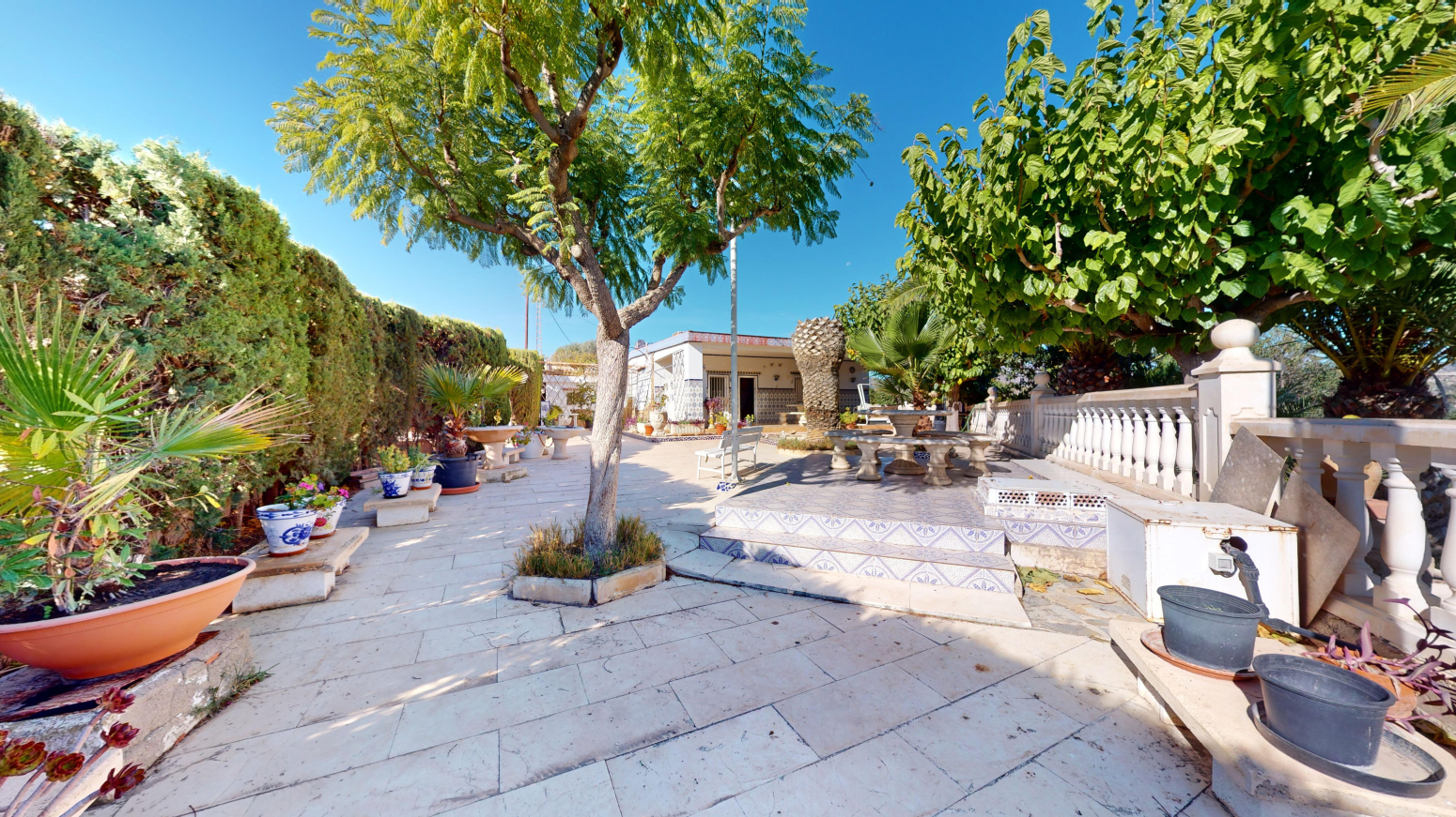 property image #4
