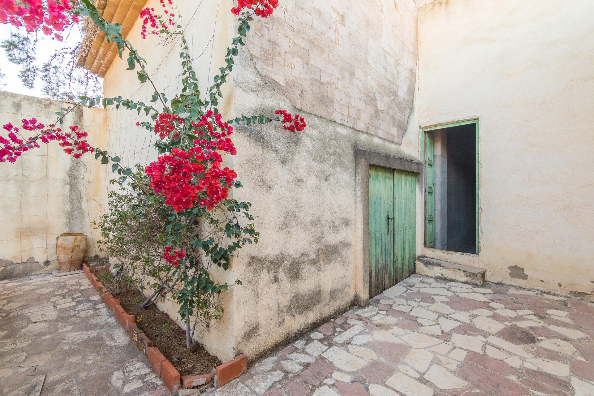 property image #4