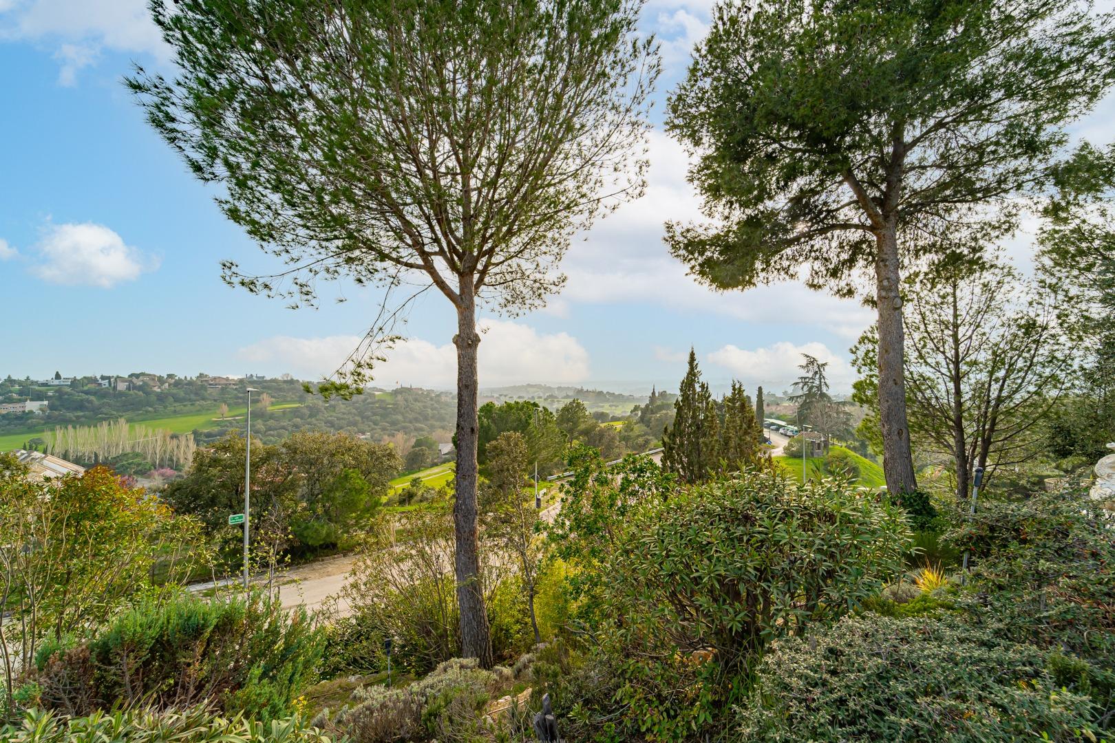 property image #1