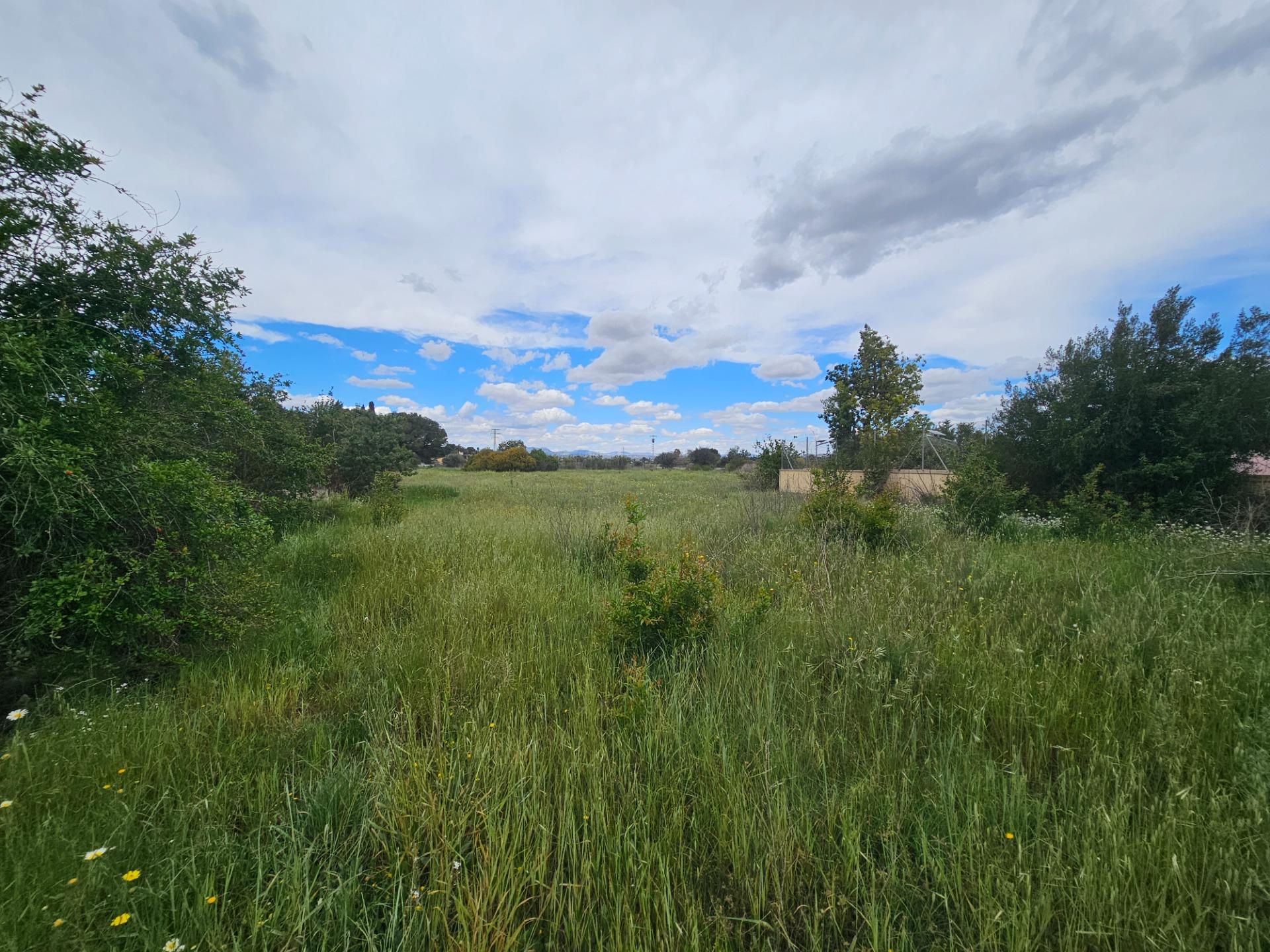 property image #0
