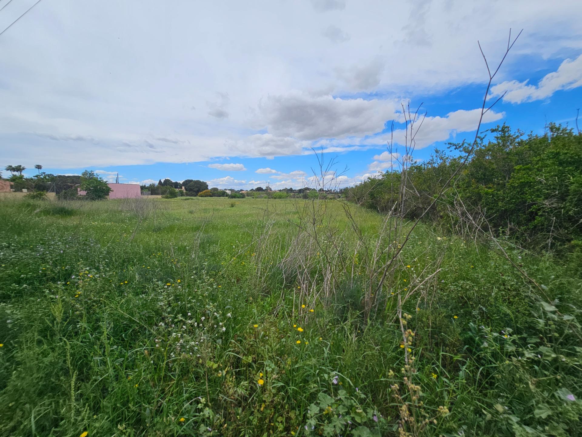 property image #3