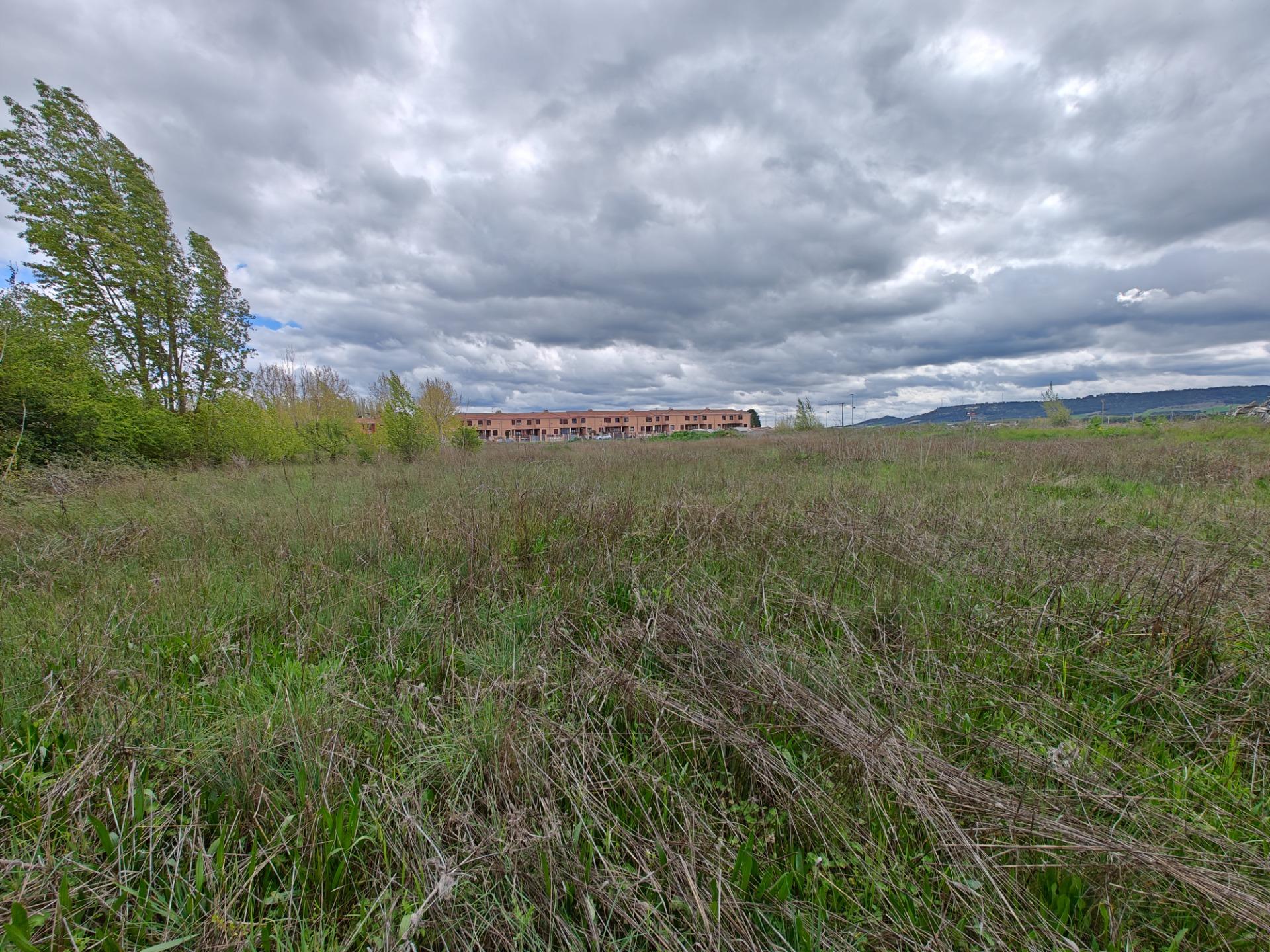 property image #4