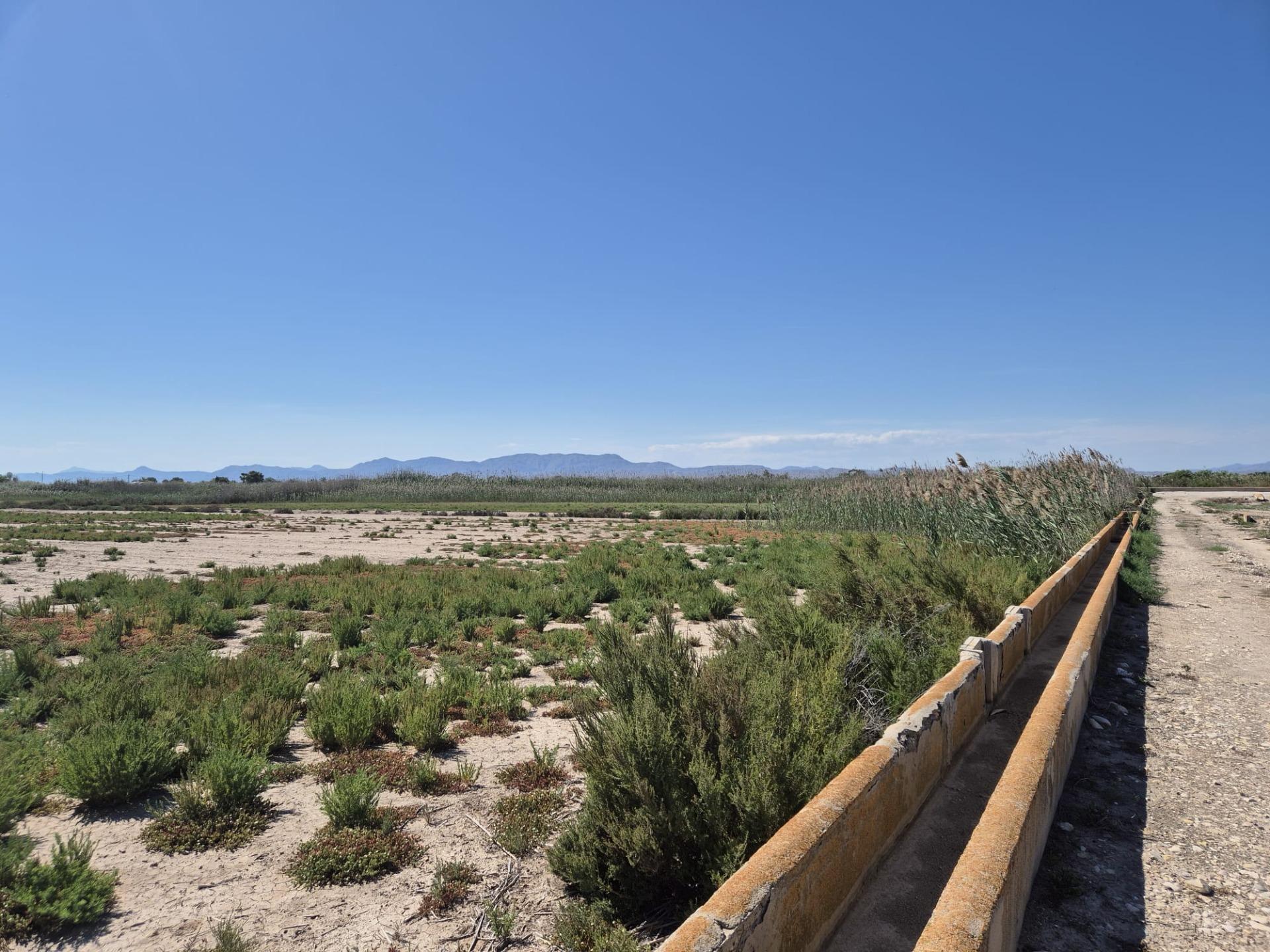 property image #0