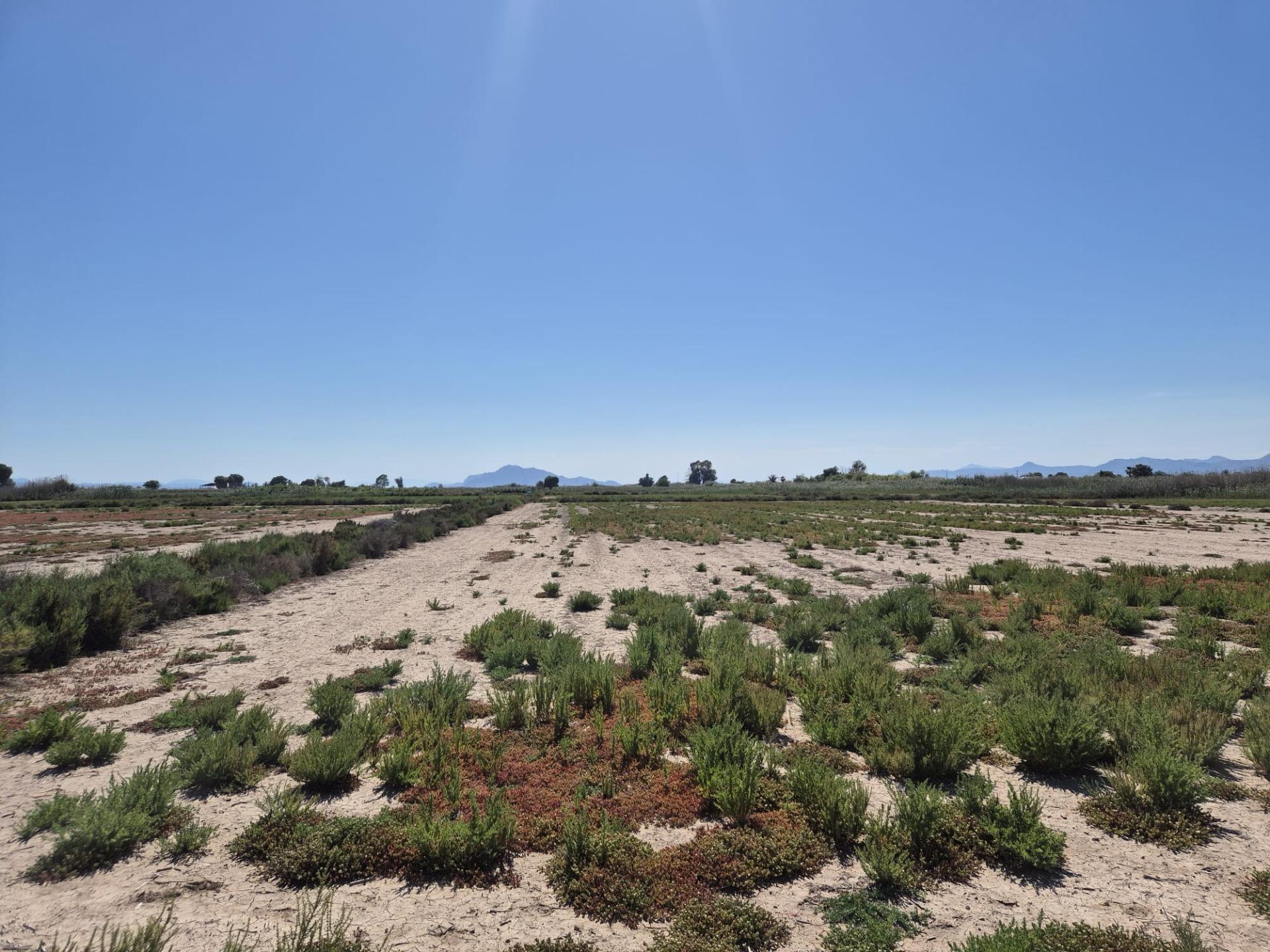 property image #1