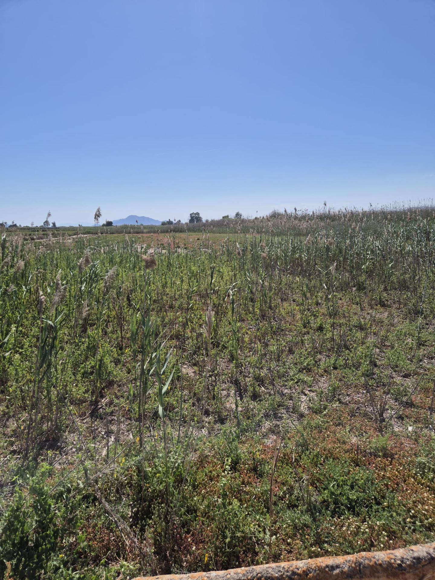 property image #2