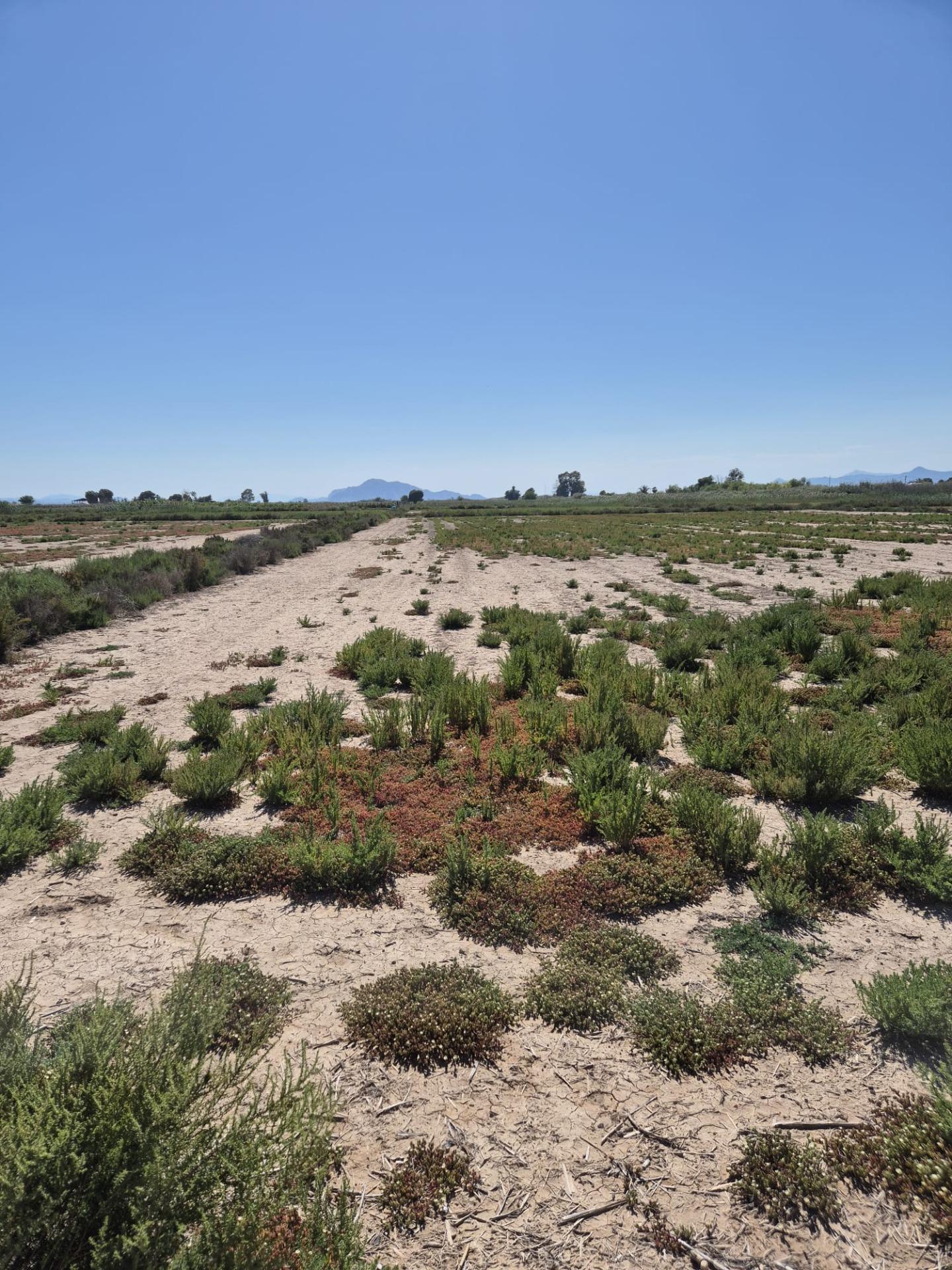 property image #4