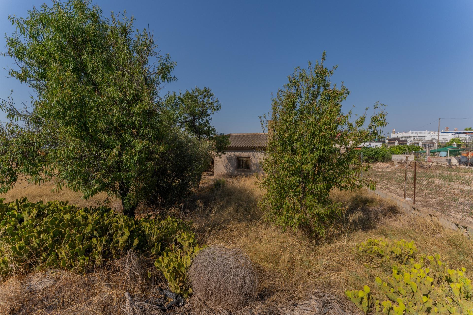 property image #4