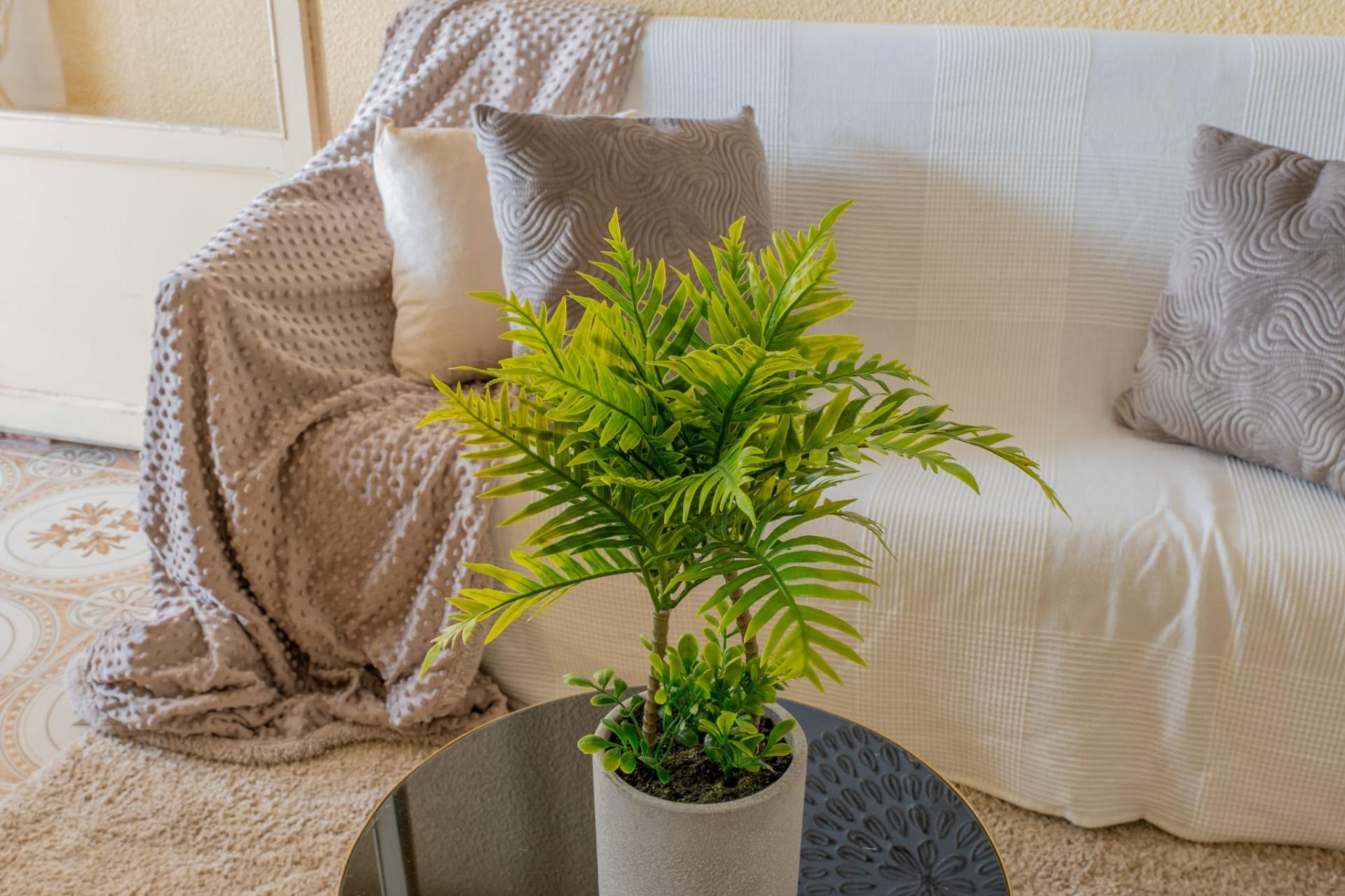 property image #2