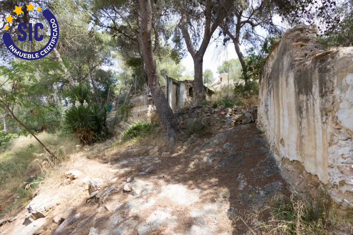 property image #0