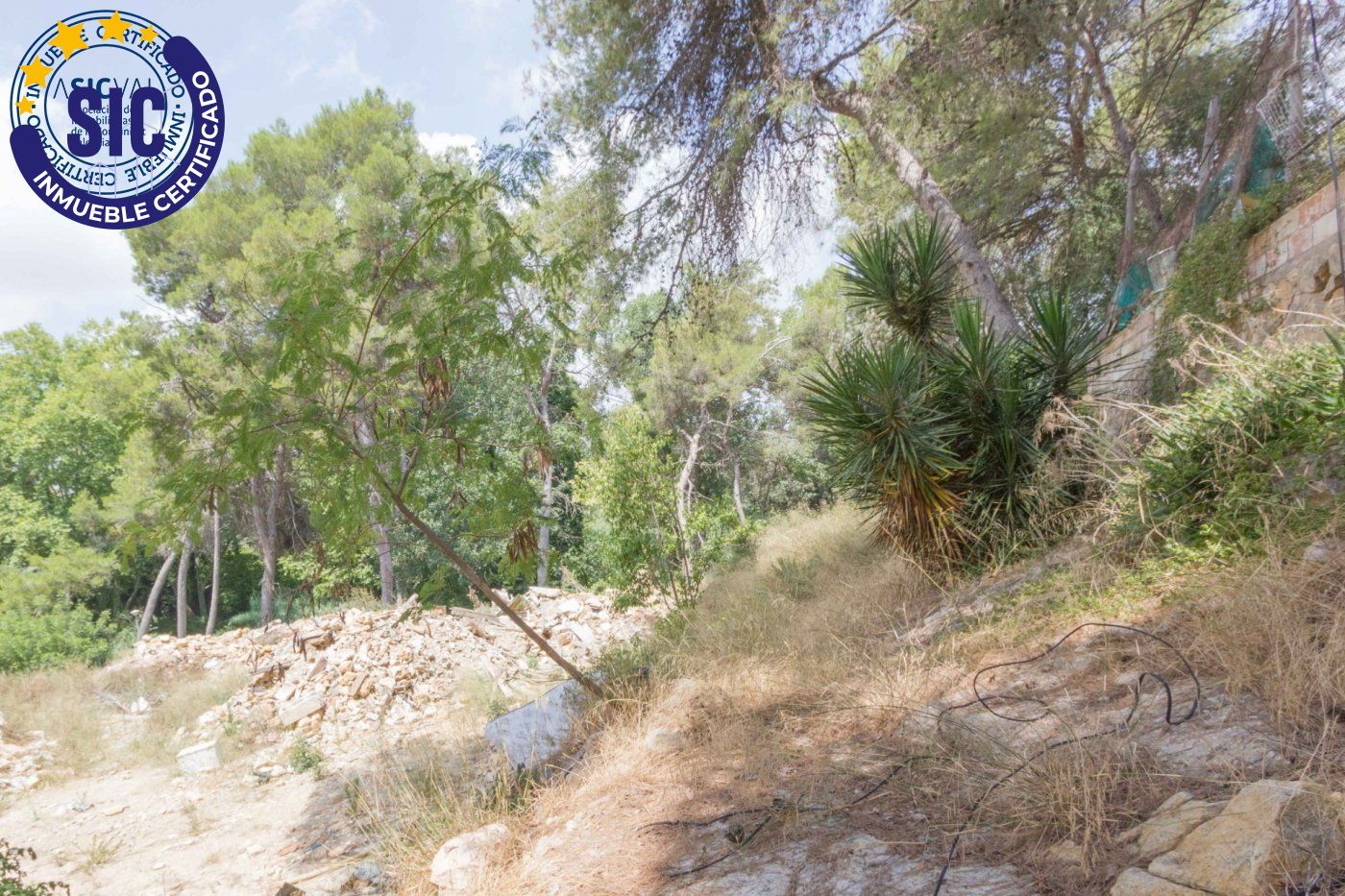 property image #1