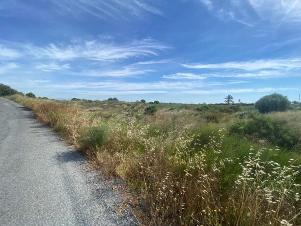 property image #1