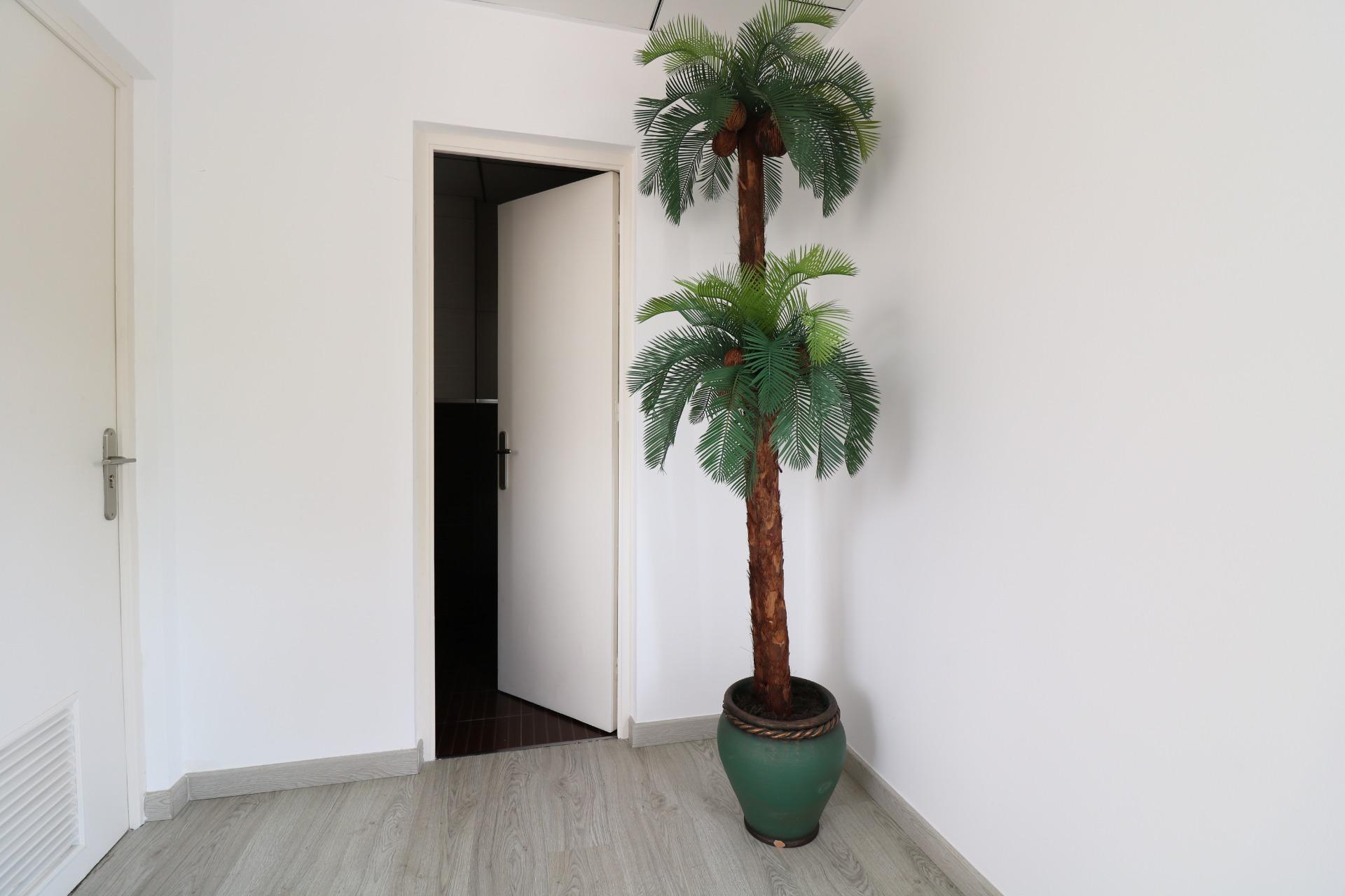 property image #4