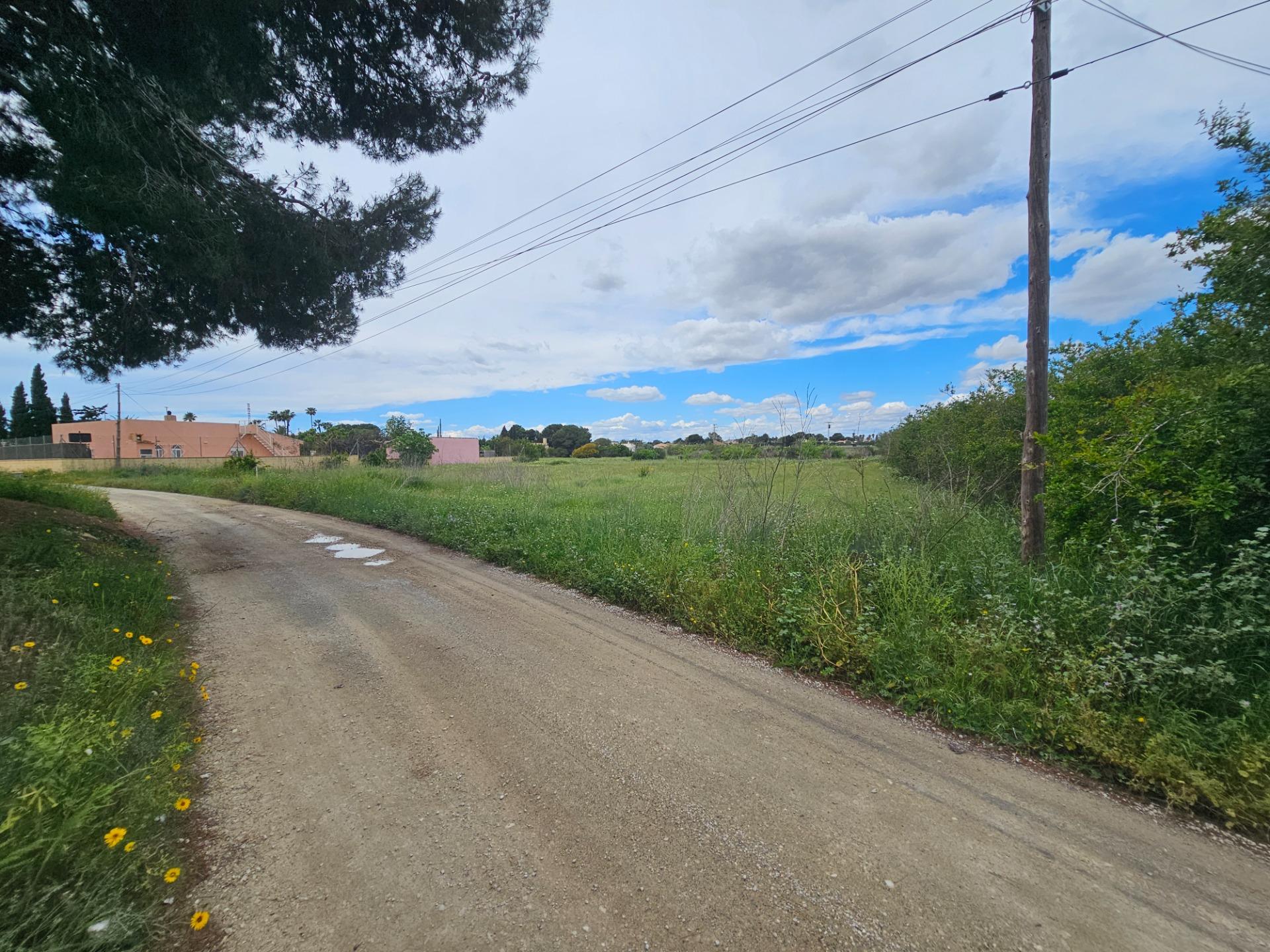 property image #4