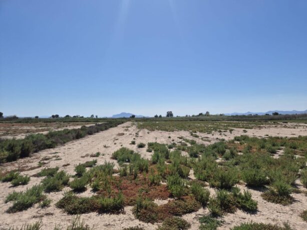 property image #1