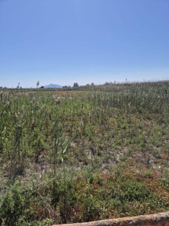 property image #2