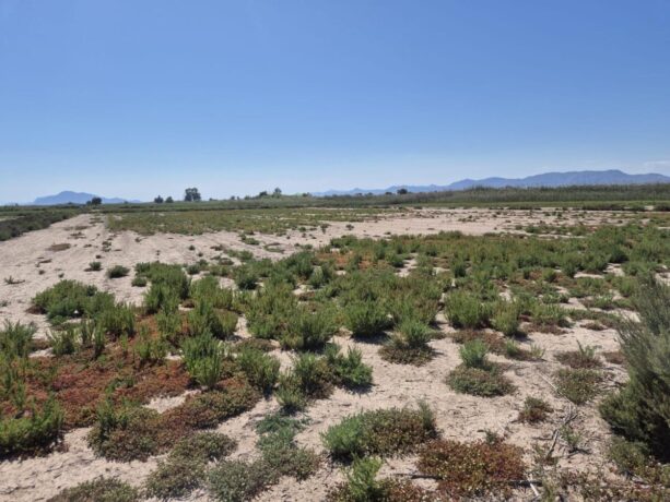 property image #3
