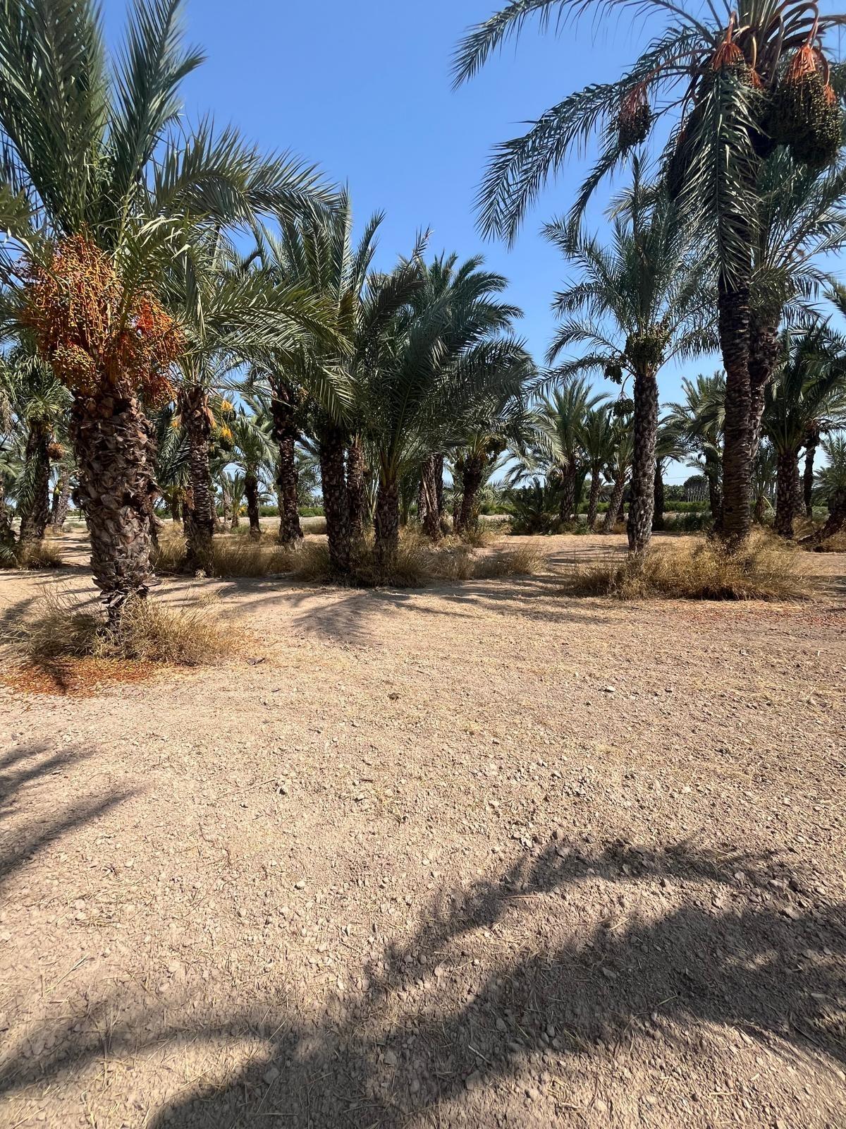 property image #1