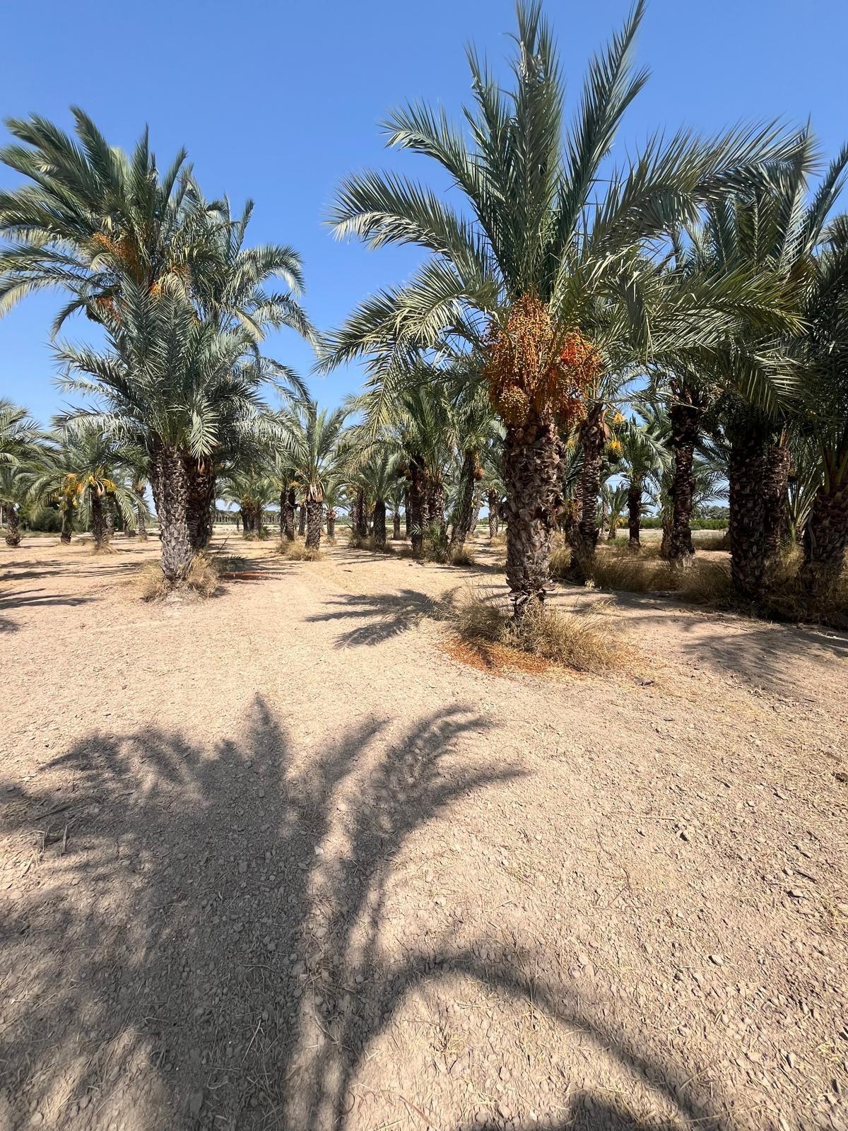 property image #2