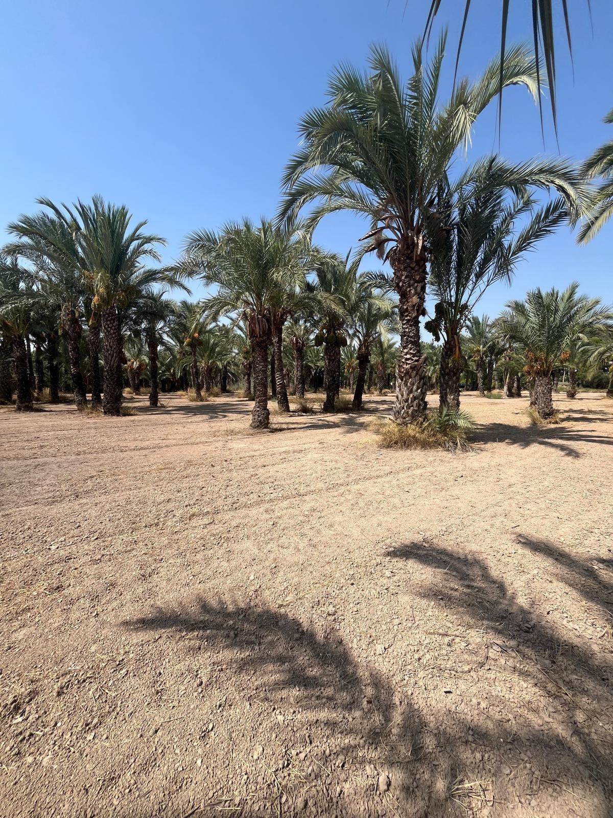 property image #4