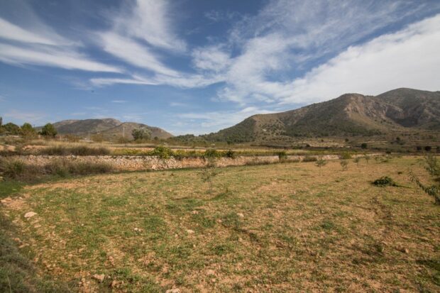 property image #2