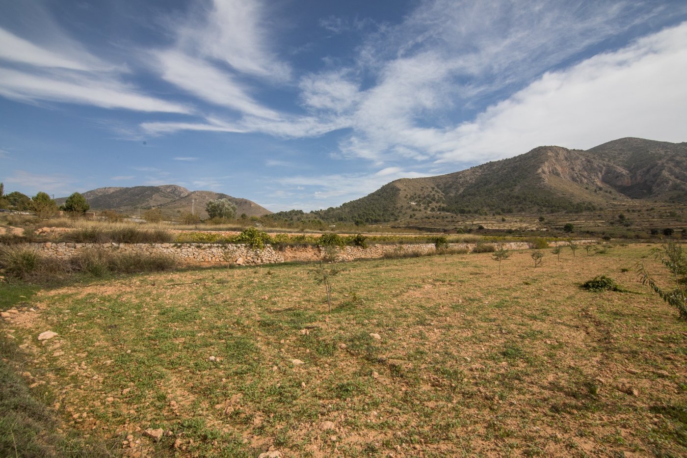 property image #2