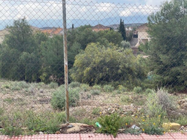 property image #3