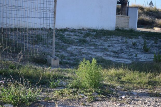 property image #2