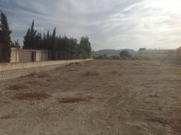 property image #3