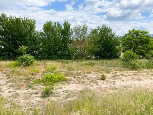 property image #4
