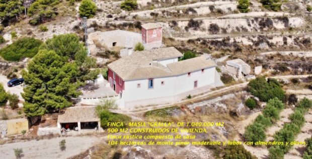 property image #0