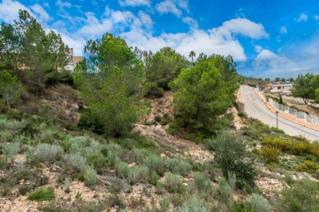 property image #3