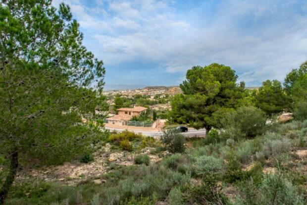 property image #4