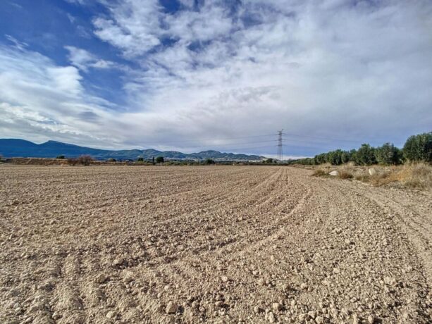 property image #4
