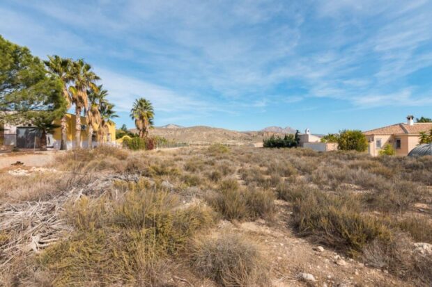 property image #3