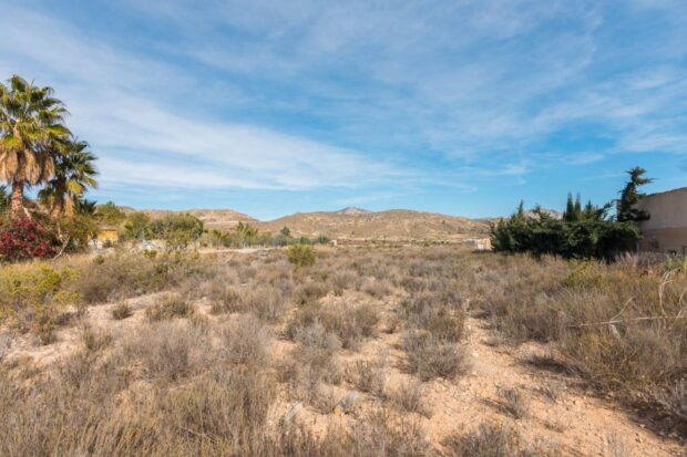 property image #4
