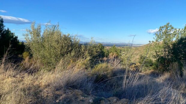 property image #1