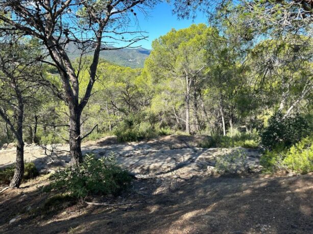 property image #1