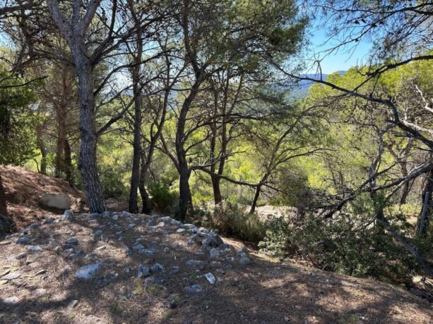 property image #2