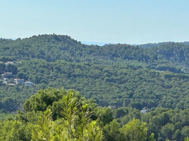 property image #4