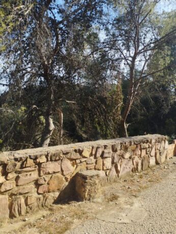 property image #2