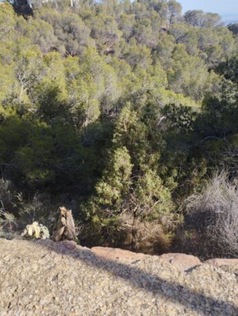 property image #3