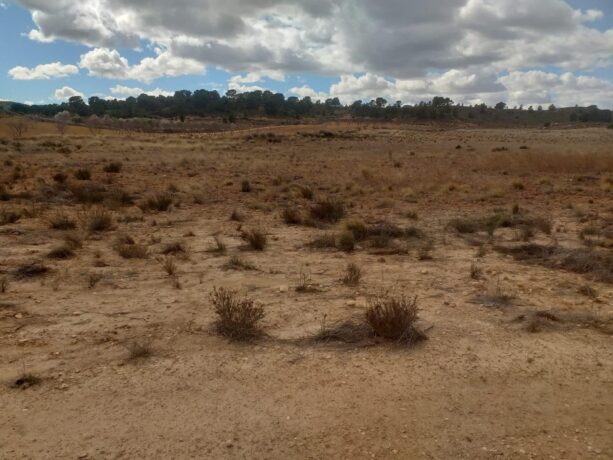 property image #1