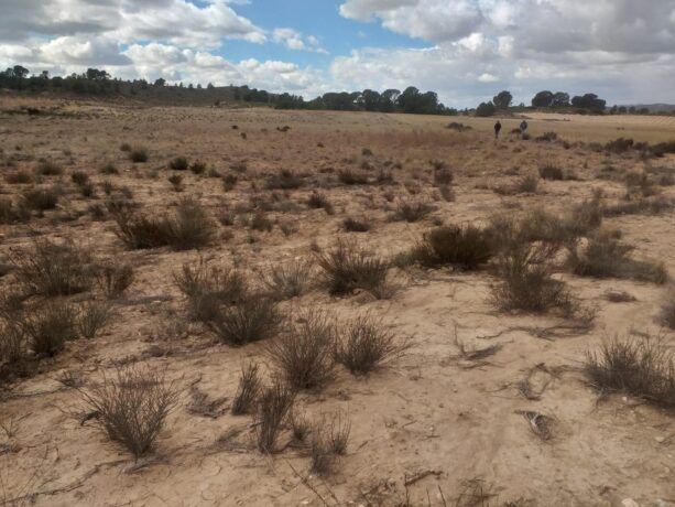 property image #3